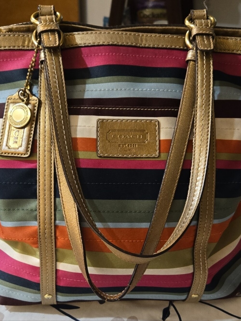 Coach Multicolor Striped Tote with Gold Trim